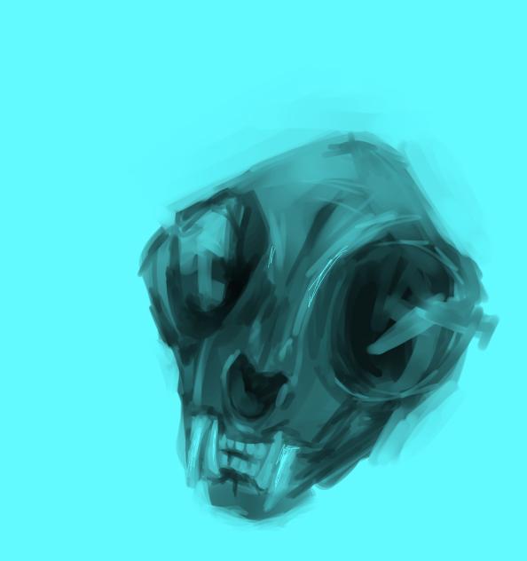 cat skull