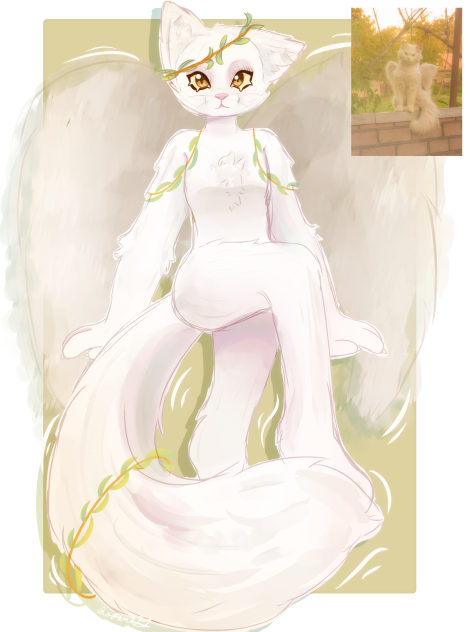 Kitty angel 😇