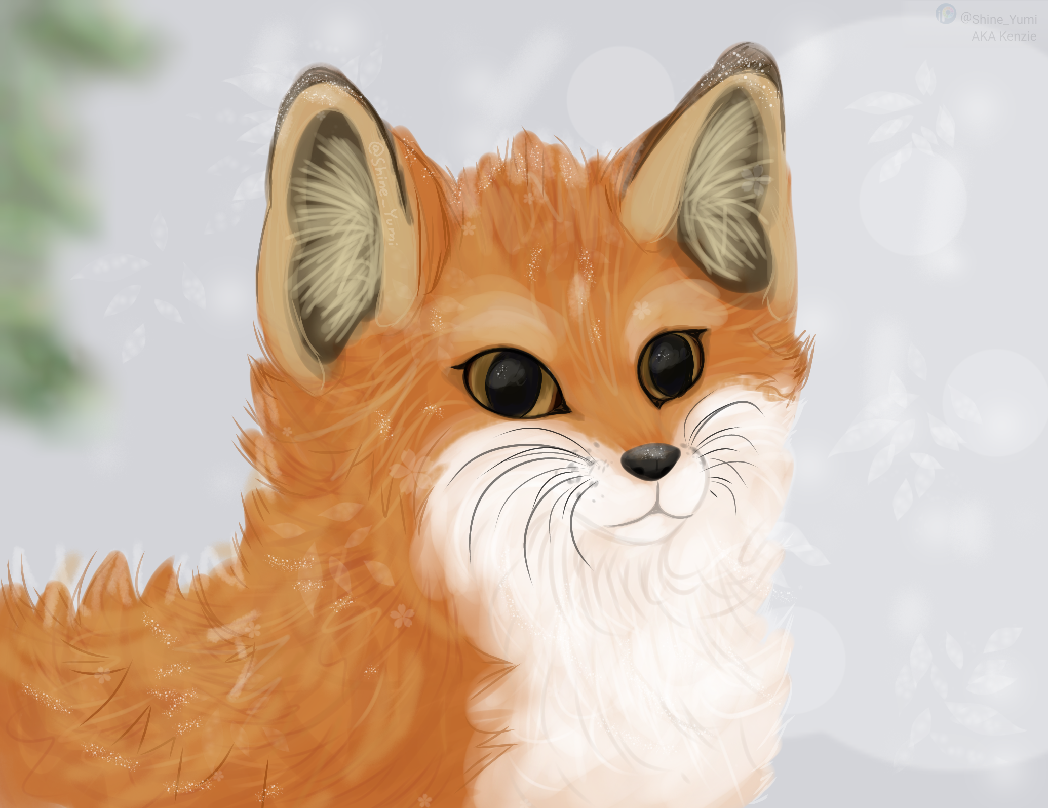 Fox #2 - ibisPaint