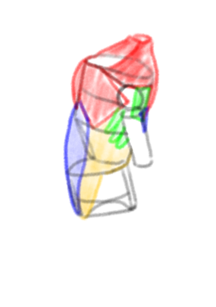 Dynamic Drawing 08.02.0654