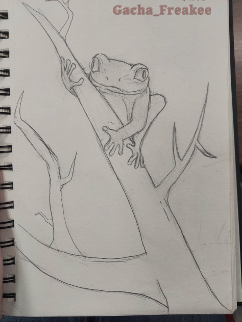 Drawing A Froggo Part 2