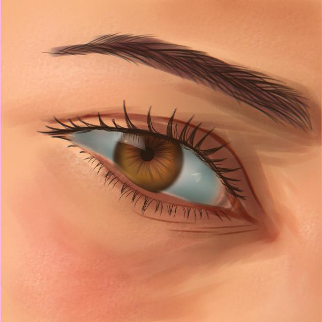 eye study