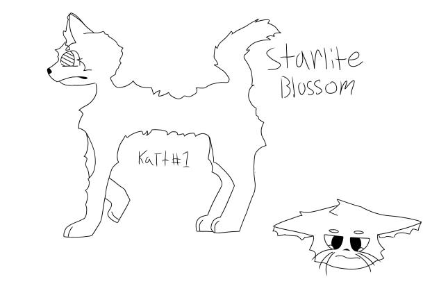First time drawing a cat