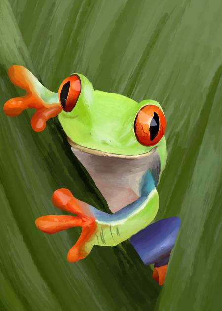 hi