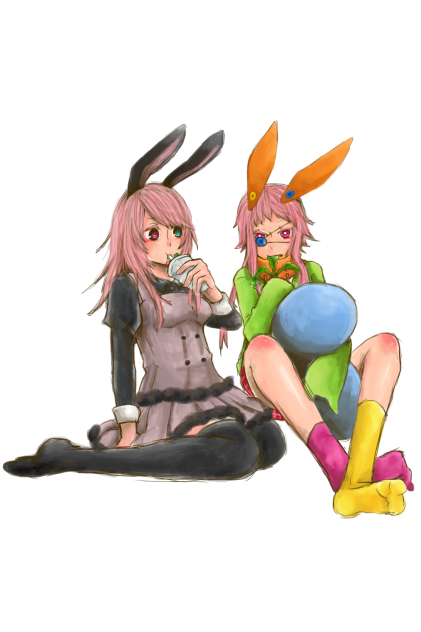 うさりあちゃんと釦【兎企画】