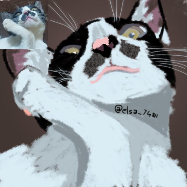 oreo (the ugly evil cat)
