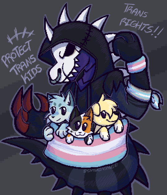 Trans rights boooii