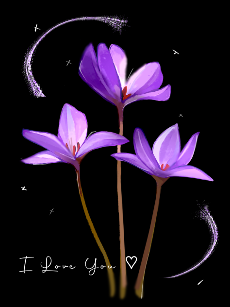 Flower ♡(ӦｖӦ｡)