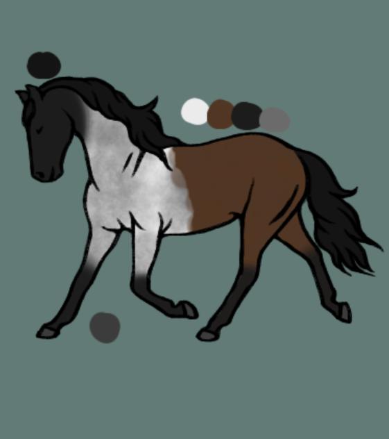 Blue roan x Bay chimeric