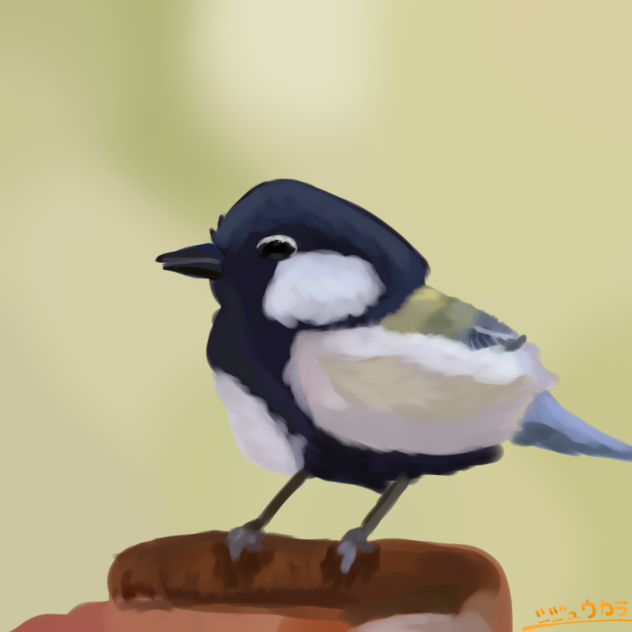 シジュウカラ