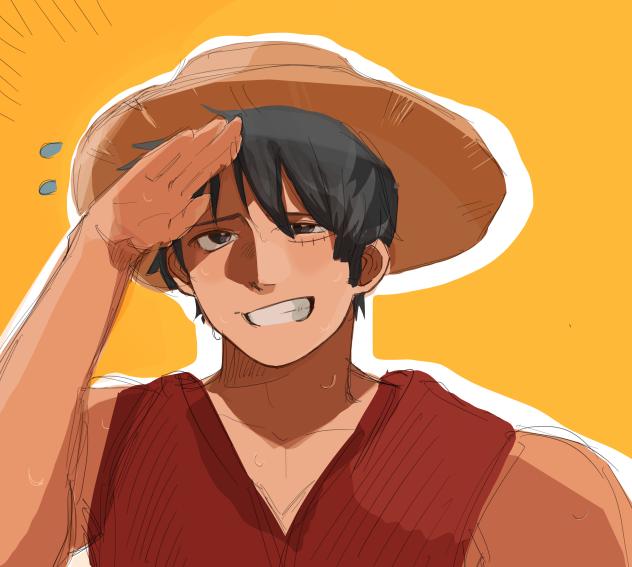 luffy in the sun