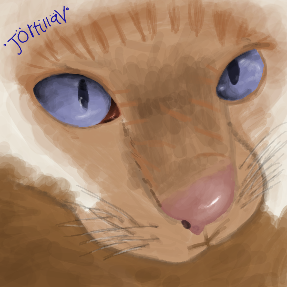 Butterscotch, my first realism cat - ibisPaint