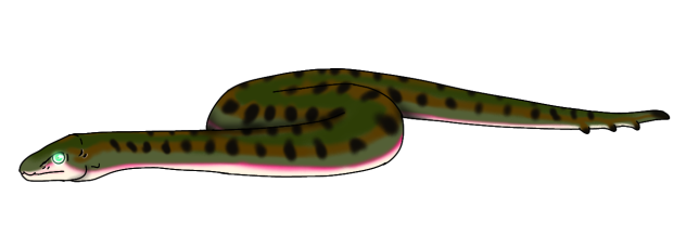 Swamp Bamza glows render