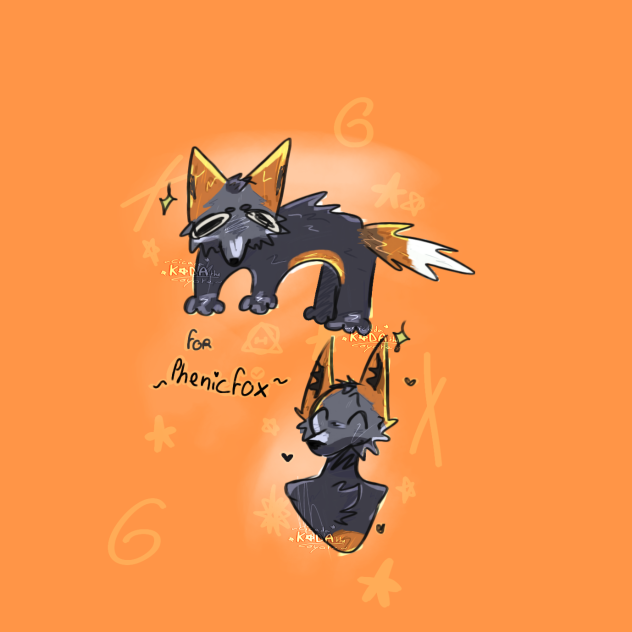 ✩✩✩