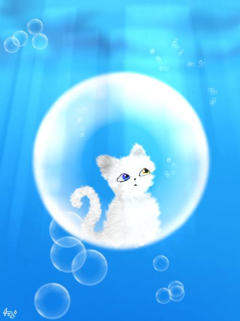 cat on ballon in the ocean