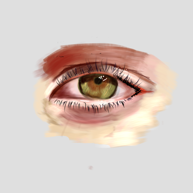 I attempted a realistic eye