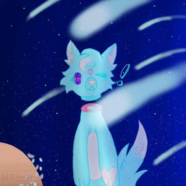 Cat in space !!