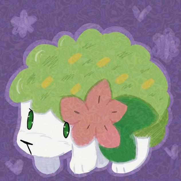 the shaymin frfr
