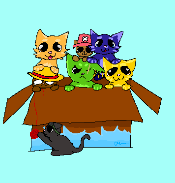 One piece kitties.2024.06.09-16.37