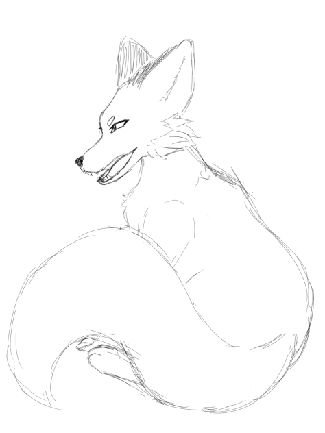 Fox