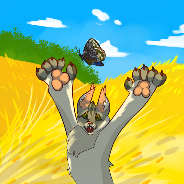 Cat Chasing Butterflies