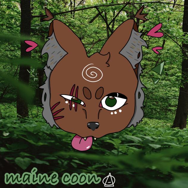 maine coon cat mask 🪲🪶🐾🍄🌙