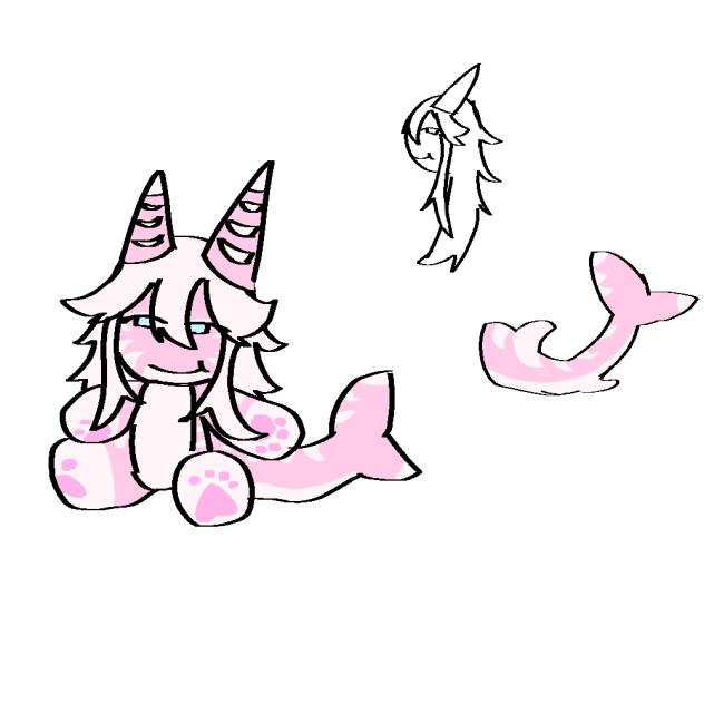 kawaii sharki