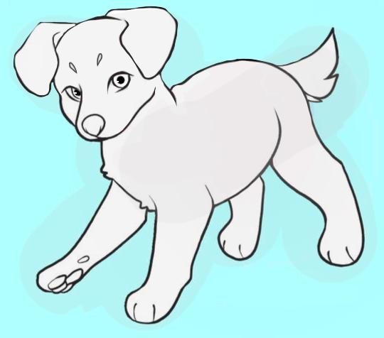 I get my new puppy tomorrow!