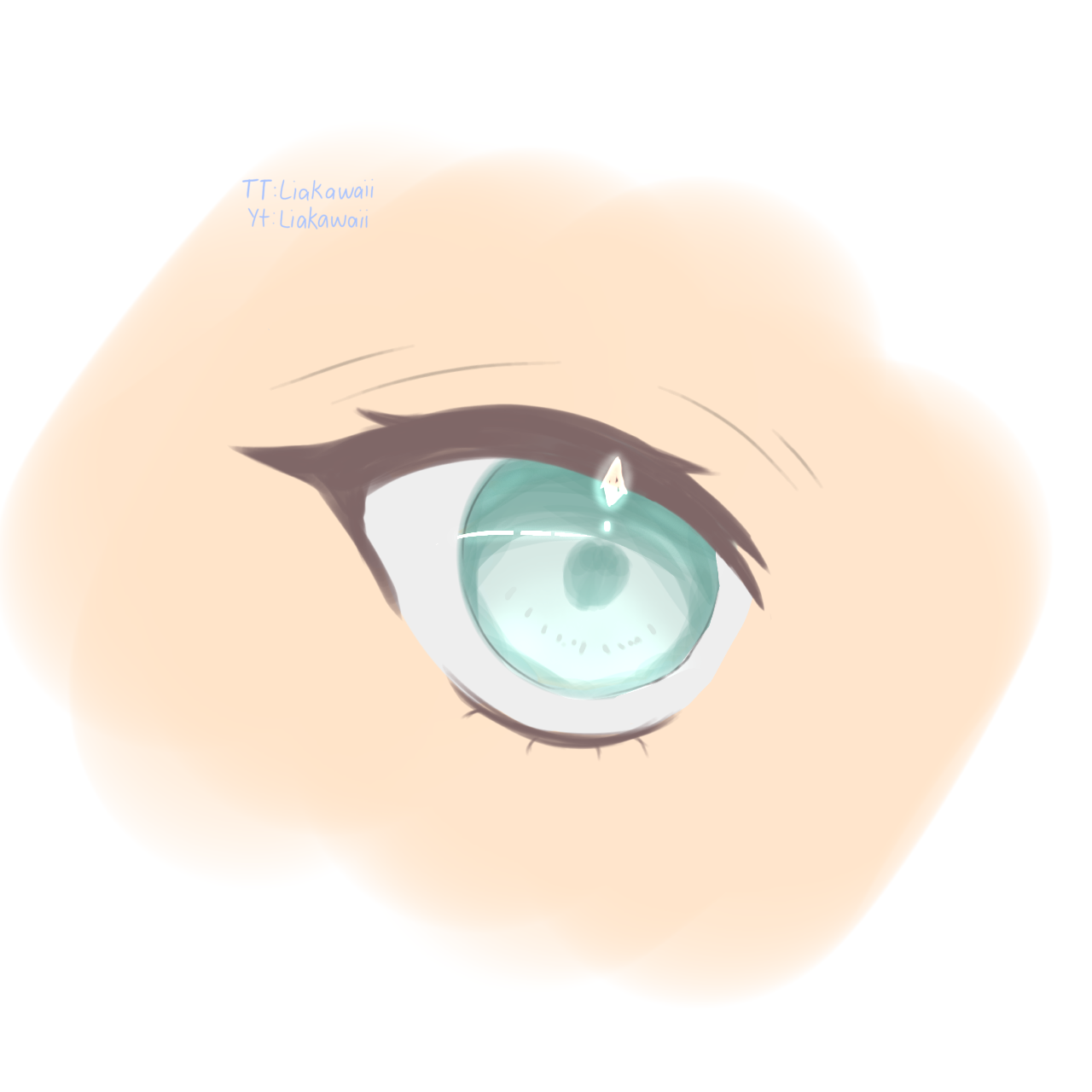 Tutorial Eye - ibisPaint