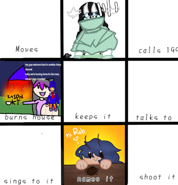 You find a spider colab