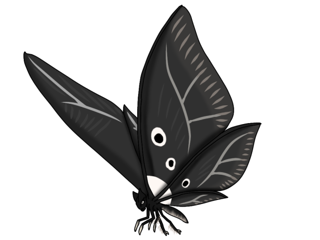 Black Switchwing render