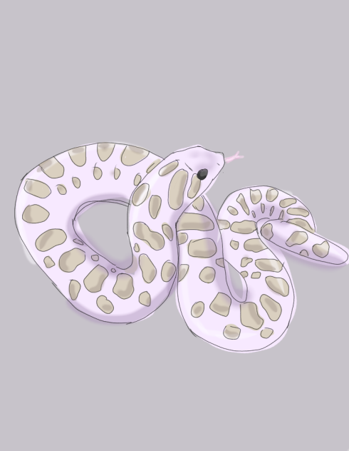 Quick Snek Doodle