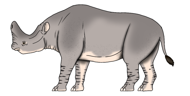 Embolotherium andrewsi render