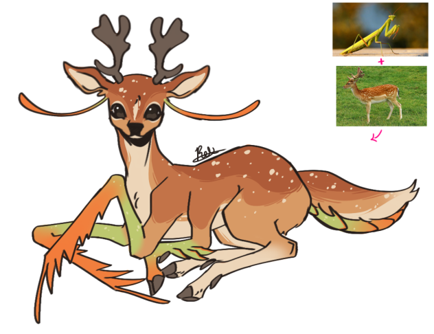 Manta deer
