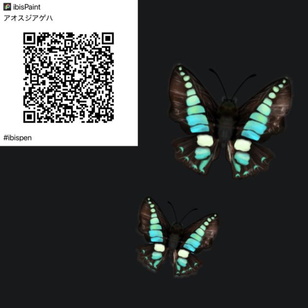 アオスジアゲハ