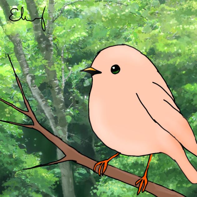 BIRD - ibisPaint