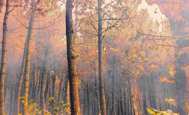 trees - ibisPaint
