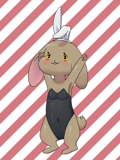 バニコスうさぎ