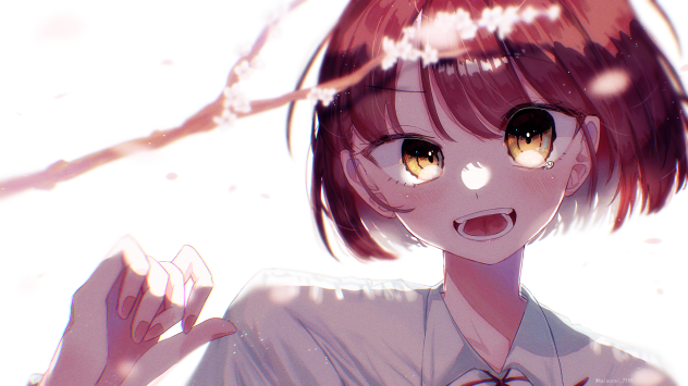 ばかやろー