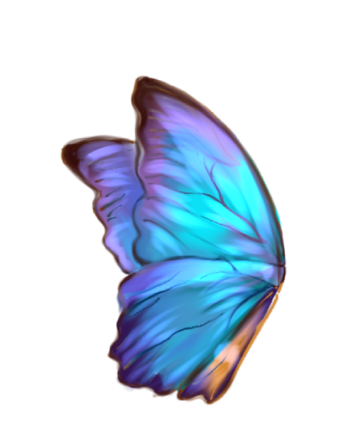 Iridescent blue butterfly 🦋