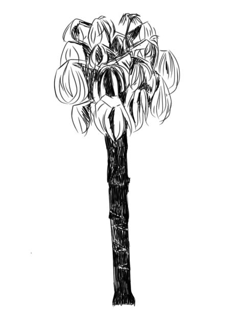 palm. - ibisPaint
