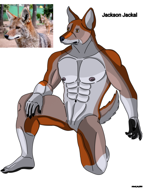 Furry realist jackal