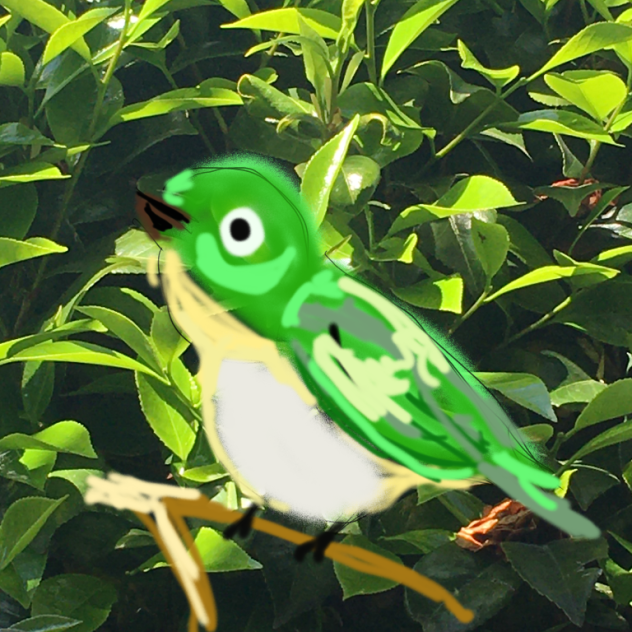 メジロ