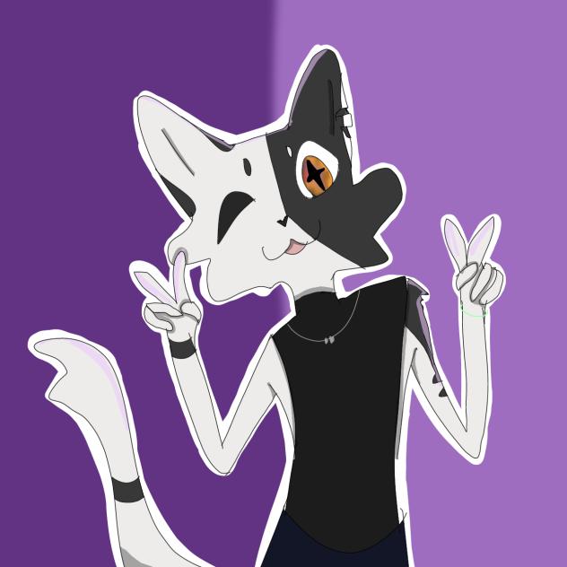 Dtiys for Minnow!
