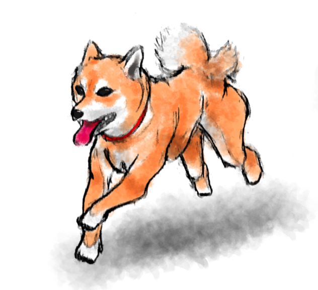 しーばーいーぬー Ibispaint