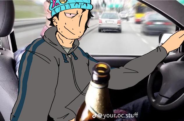 hobo phoenix