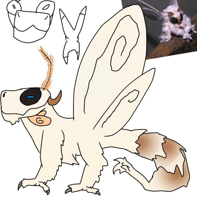 Poodle