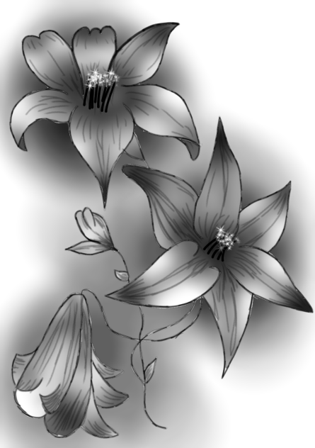flower - ibisPaint