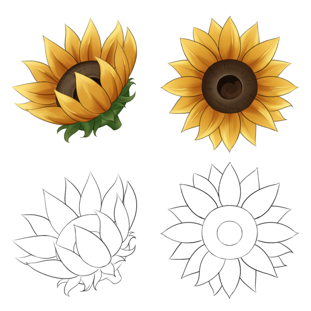 Sunflowers [free-to-use]