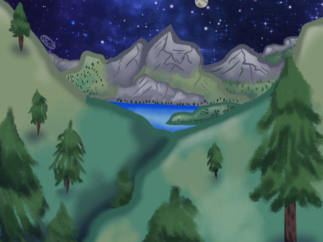Forested Landscape